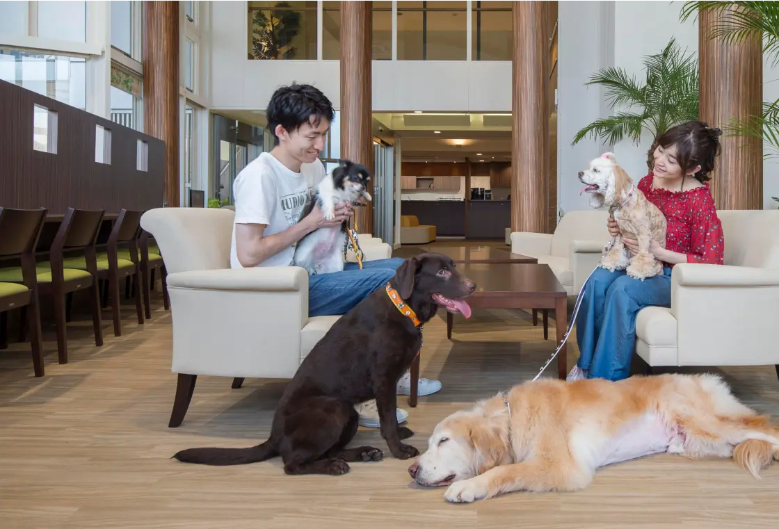 愛犬と一緒にくつろぐカップル
